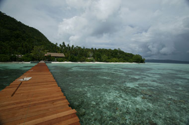 Sorido Bay Resort, dykresor till Raja Empat, Papua, Indonesien