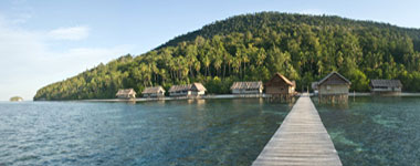 Kri Eco resort, dykresor till Nya Guinea, Raja Empat, Indonesien
